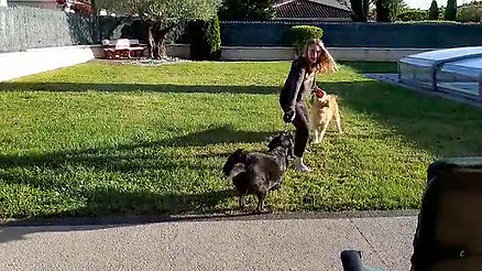 Une jeune femme joue avec 2 gros chiens | éducation  positive du chien | Connexion canine lyon